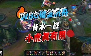 WBG战胜FNC，有惊无险晋级8强，小虎工具人中单有东西！
