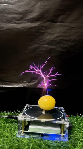 limo and leaf vs tesla coil #experiment #TeslaCoil #ScienceExperiment #Physics