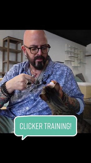 Jackson Galaxy on TikTok