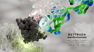 KEYTRUDA (PEMBROLIZUMAB) - Behnoush Hajian Ph.D.