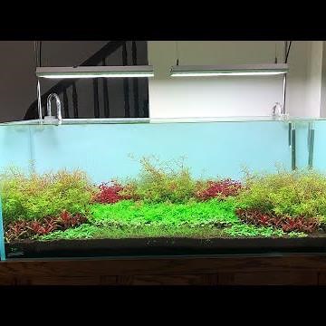 AMAZING DIY Aquascape Decoration Ideas At Home | MR DECOR #171