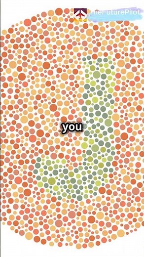 Can You Pass a Pilot’s Vision Test 👀✈️