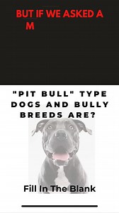 Justice for Bullies on Reels