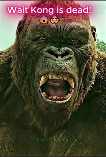 Kong vs EVERY Monster & Godzilla! 😱 Who Wins? #godzilla #kong