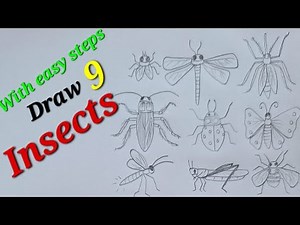 Insects drawing easy, draw housefly, Draw mosquito, Draw honey bee, Draw lady bug, Draw dragonfly