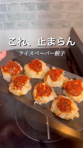 普段の餃子超えた！？ライスペーパーで作る餃子#料理 #料理動画 #簡単レシピ #時短レシピ #おうちごはん #自炊 #毎日ごはん #作り置き #晩ごはん #おかず #料理初心者