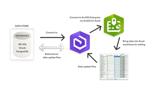 Using ArcGIS for Excel to Edit Referenced Data