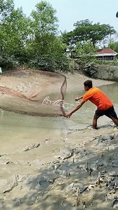 Amazing river said net fishing #reels #foryouシ #bdfishing #riverfishing #fbreels2025ツ #fishing #viralreelsシ #netfishing BD Fishing | BD Fishing