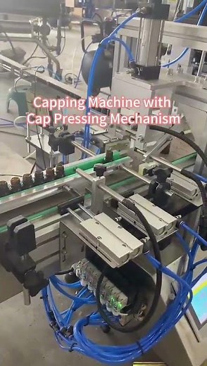 Capping Machine with Cap Pressing Mechanism | Automatic Bottle Capping Solution