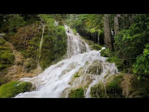 Relaxing Zen Water Ambience 🌿 | Calm Mind & Deep Relaxation