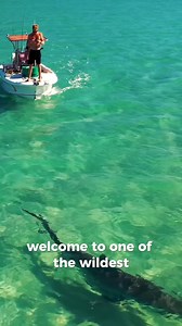 NEW SERIES IS LIVE 🍿📺 This place is truly insane! Come and explore it with us in the New Episode. 🐬🐢 Hope you enjoy it! 🏝️ #westernaustralia #marinelife #adventureawaits #wildlifephotography #oceanadventure #remoteplaces | Strick & Fran