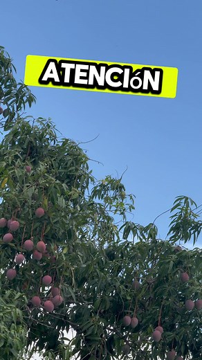 Oraciones poderosas a Dios y a San Miguel Arcángel para protección y agradecimiento