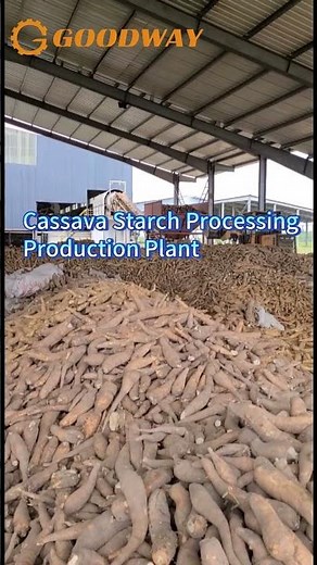 Cassava Starch Processing Production Plant