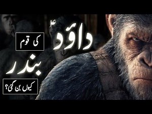 Why Allah Turned the People of Hazrat Dawood (AS) Into Monkeys | Islamic Story