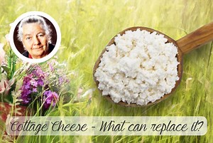 The Budwig Mix - What Can Replace Cottage Cheese And Linseed Oil?