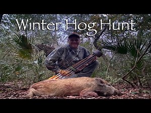 Winter Hog Hunt 2024 Traditional Bowhunting!