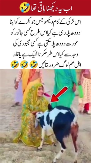 A Shocking Moment: Woman Feeding Milk to a Goat