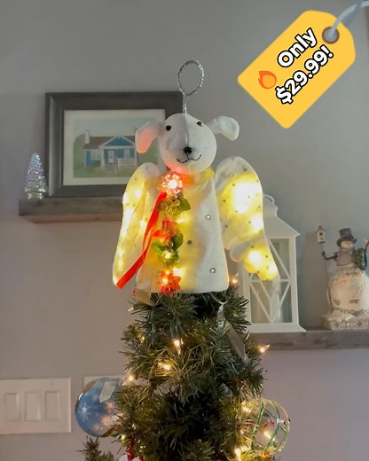 This Christmas, bring home the gift that actually changes lives. Each of these magical figurines gives 30 hot meals to homeless dogs waiting in the cold. Their tails wag. Their eyes sparkle. Their hearts are full—because of you. 🕯️ Supplies are limited. 🎁 Order now and make your holidays truly meaningful. | iHeartDogs