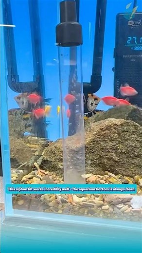 This siphon kit works incredibly well – the aquarium bottom is always clean