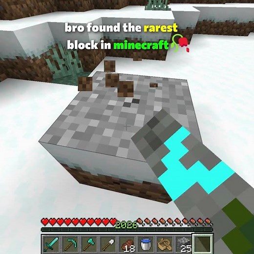 Bro Found the Rarest Block in Minecraft 🥀