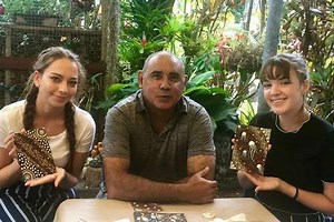 Aboriginal Art Daintree Rainforest & Wildlife | Culture Connect | Aboriginal Experiences