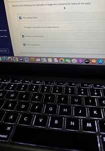 Which of the following are examples of epigenetic mechanisms? S... | Filo
