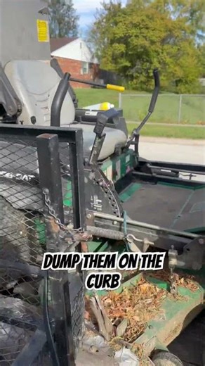 Ultimate Leaf Removal Setup: The Best Tools for Autumn Cleanup