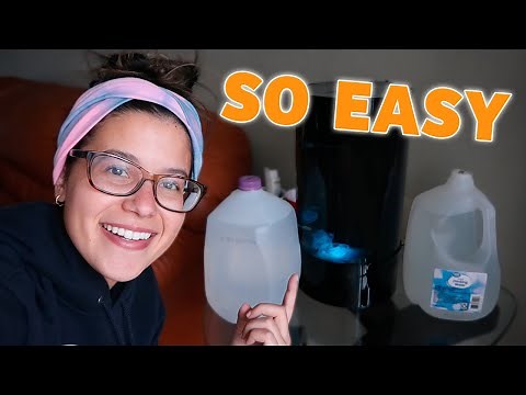 Maintaining Pet Jellyfish..the Easy Way