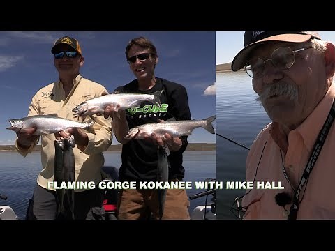 Flaming Gorge Kokanee With Mike Hall.