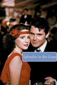 Stream Splendor in the Grass (1981): Find it on Netflix, Prime Video, Hulu & more