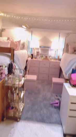 Dorm Room Transformation Challenges at University of Michigan