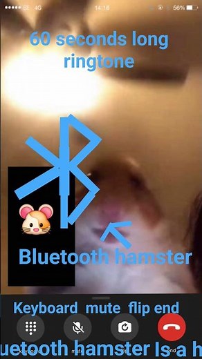 Bluetooth hamster