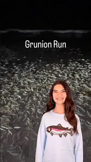 Grunion Run! #grunionrun #fish