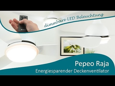 Energiespar Deckenventilator Raja 122 cm weiß mit LED Beleuchtung