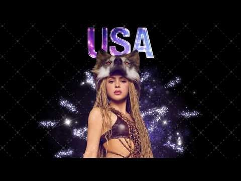 Shakira caused chaos at her concert… things got out of control