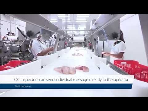 Customer story: Tilapia Processing at Terrapez