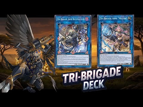 MDPRO3,🌾Tri-Brigade Deck! 🦅 #YuGiOh"Tri-Brigade Arms Mouser,[DOOD]