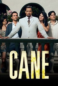 Cane: Season 1 | Rotten Tomatoes