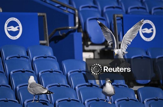 Premier League - Brighton & Hove Albion v Liverpool