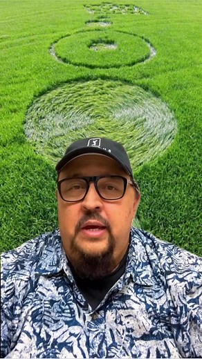 19K views · 1.1K reactions | Los Círculos en los Campos de Cultivo!! #signs #circulos #maiz #campos #extraterrestres #historia #misterio #oculto #conspiracion | Frank Navarro | Facebook