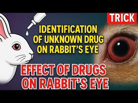 Tests on Rabbit's eye || Identification of unknown drug on rabbit's eye || whisper pharma #rabbiteye