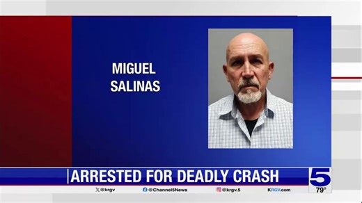 Driver in custody in connection with deadly Alamo hit-and-run crash