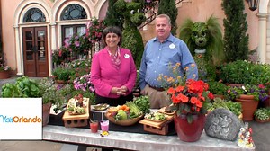50K views · 501 reactions | See all that’s new and what to do at the Epcot International Flower & Garden Festival from the real insiders. Disney Horticulturist Eric Darden and Festival Manager Marianne Hunnel are your hosts and demonstrate how edible plants and flowers are used in food and drinks served at the festival. | Visit Orlando | Facebook