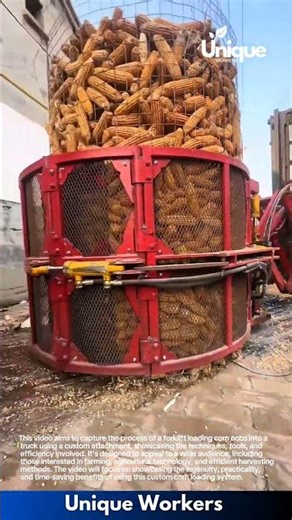 Corn loading machine: efficient corn cob transfer