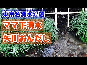 【国立市】東京名湧水57選ママ下湧水と矢川おんだし【南武線】