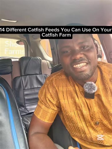 7.3K views · 94 reactions | 14 Different Catfish Feeds You Can Use On Your Catfish Farm | Sholeks Farms | Facebook