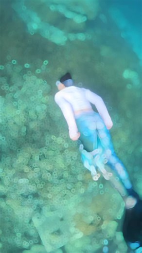 不止是潜水，更是一场变身。 穿上鱼尾的那一刻， 你不是谁的公主， 你就是整片海的主角。 — 𝗠𝗲𝗿𝗠𝘆𝘁𝗵𝘀 𝗠𝗲𝗿𝗺𝗮𝗶𝗱 𝗗𝗶𝘃𝗶𝗻𝗴 🌊 —— 📲 Whatsapp: 0167742471 (Leona) 📖 Facebook：MerMyths 📷 Instagram: mermyths 🍠 xhs：MerMyths #jbmermaid #padimermaid #mermaid #padimermaidinstructor #padi国际美人鱼证书 #mermaidcourse #padimermaidinstructor #johorbahrumermaid #freediver #freedivermalaysia #freediverphotography #美人鱼考证 #亲子成长记录 #少儿水下课程 #海上课堂 #advancedmermaid #自由潜水 #美人鱼潜水 #水下双人舞 #潜水女孩 #水中姐妹花 #水下摄影 #潜进内心的深蓝 #MermaidFreedive #双人潜水拍摄 #潜水日常 #美人鱼潜水 #