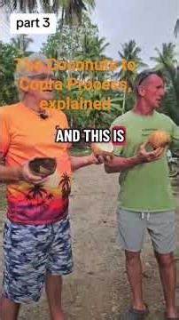 The Coconut to Copra Process easily explained...