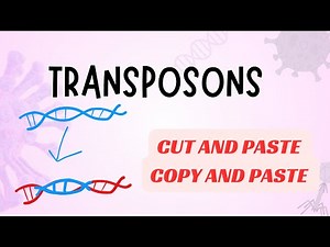 Transposons and its Types Explained | DNA Transposons | Retrotransposons