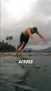 The Secret Life of Deer – Nature’s Gentle Wanderers